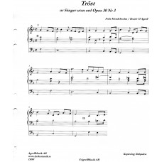 Tröst  ur Sånger utan ord Opus 30 Nr 3 / F Mendelssohn